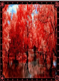 红树界